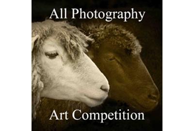 Call for Entries – 3rd Annual All Photography Online Art Competition