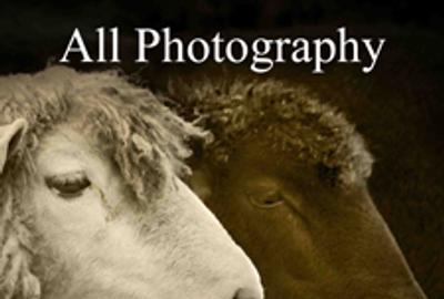 Call for Entries – 3rd Annual All Photography Online Art Competition 