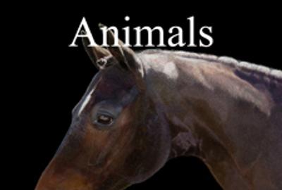 3rd Annual Animals Online Art Exhibition