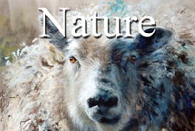 Call for Art - 4th Annual "Nature" Art Competition