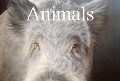 3rd Annual Animals Online Art Competition 