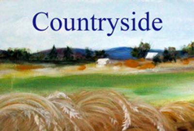 Countryside Art Competition - www.lightspacetime.com