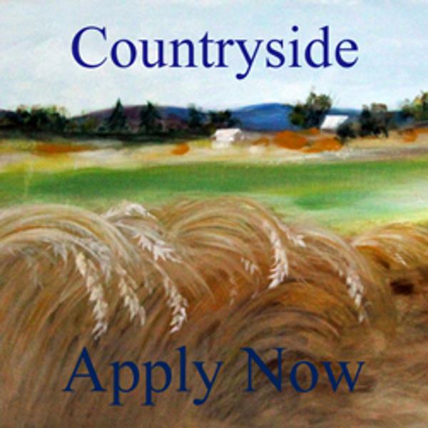 Countryside Art Competition - www.lightspacetime.com