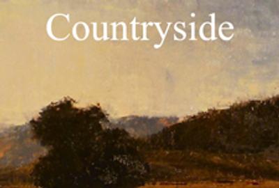 Countryside 2013 Online Art Exhibition 