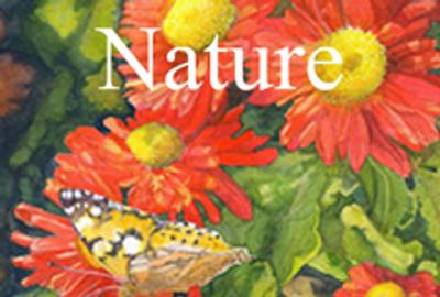 Light Space & Time Online Art Gallery announces a call for entries with the theme “Nature” for a juried art competition for the month of April 2012.  