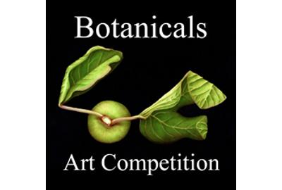 Botanicals Art Competition - www.lightspacetime.com