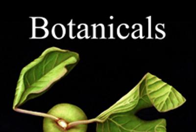 Botanicals Art Competition - www.lightspacetime.com