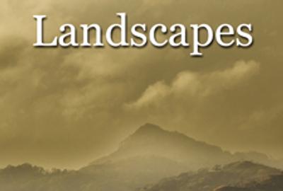 5th Annual Landscapes Online Art Exhibitions