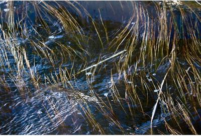 Petra Bernstein, High Tide in Motion, Photograph on Fine Art Paper, 16'' x 24''