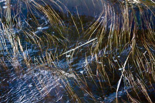 Petra Bernstein, High Tide in Motion, Photograph on Fine Art Paper, 16'' x 24''