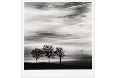 Michael Kenna, Three Trees at Dusk, Fain Les Moutiers, Bourgogne, France, 2013, gelatin silver print, 7 11/16 x 7 11/16 in.  (19.5 x 19.5 cm), Cincinnati Art Museum; Gift of the Artist, 2014.17.  © and courtesy Michael Kenna