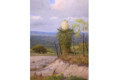 Porfirio Salinas, Yucca Vista, c.  1930s, oil on canvas, 36x24 inches