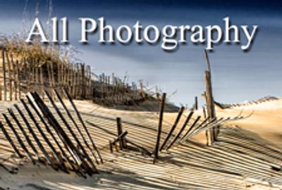 All Photography 2015 Online Art Competition