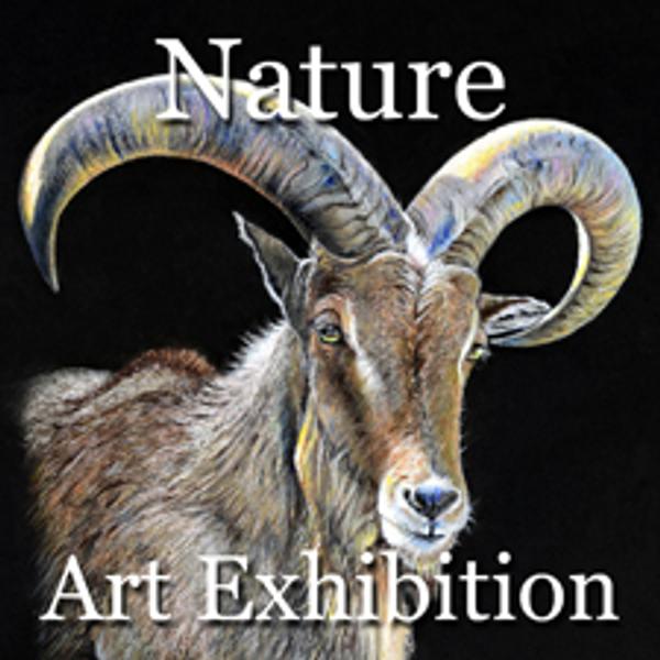 Nature 2014 Online Art Exhibition