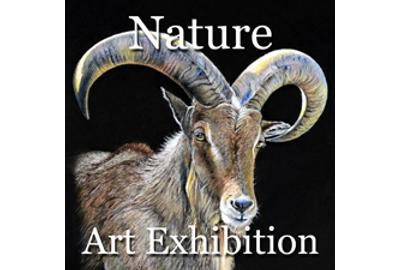 Nature 2014 Online Art Exhibition