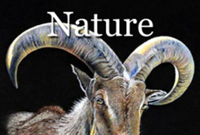 Nature 2014 Online Art Exhibition 