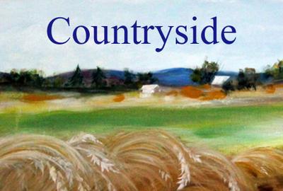 Countryside Art Exhibition - www.lightspacetime.com