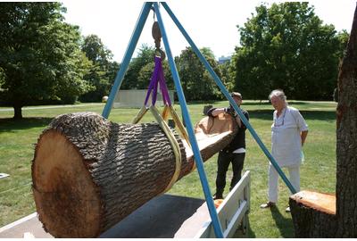 Mary Bauermeister (b.1934), Rübezahl, 2020, showing installation in progress, KölnSkulptur #10, Skulpturenpark Köln, Cologne, Germany, July 2020–Summer 2022; Photographer Simon Stockhausen