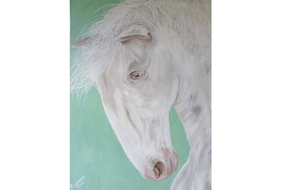 Rosemery Torres, White Horse, Acrylic on Canvas, 40'' x 30''