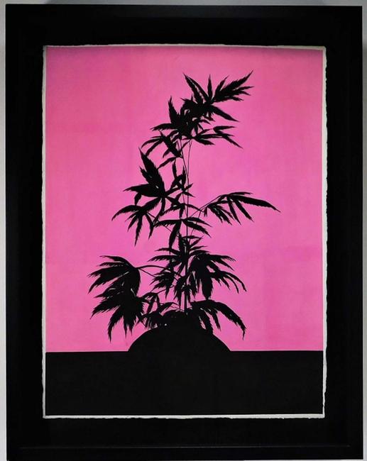 Modern marijuana painting by Ryan Sullivan (N.Y., b.  1983), a framed gouache on paper of a black silhouette of a weed plant against a vibrant pink backdrop (est.  $10,000-$15,000).  