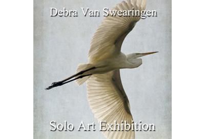 Debra Van Swearingen's Solo Art Exhibition