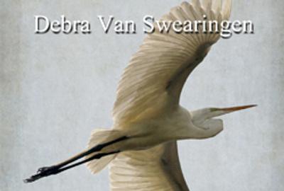 Debra Van Swearingen's Solo Art Exhibition