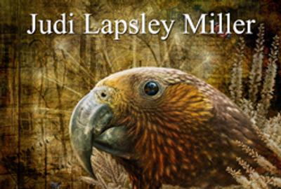 Judi Lapsley Miller - Solo Art Exhibition