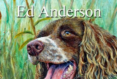 Ed Anderson - Solo Art Series Winner