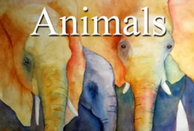 5th Annual Animals Online Art Exhibition 