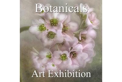 Botanicals 2016 Art Exhibition 