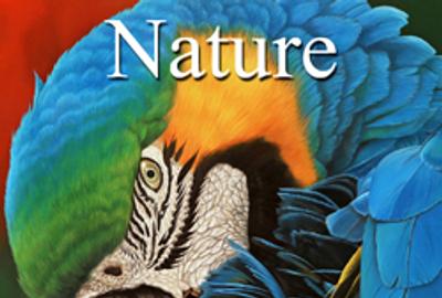 7th Annual "Nature" Online Art Competition