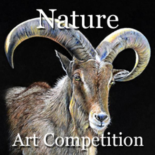 5th Annual Nature Online Art Competition