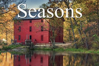 6th Annual "Seasons" Online Art Competition