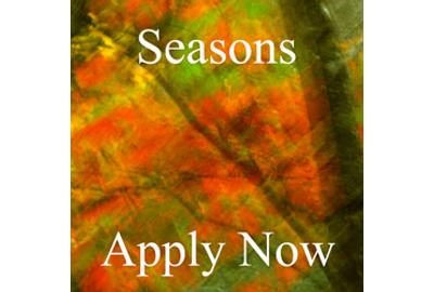 Seasons - Juried Art Competition