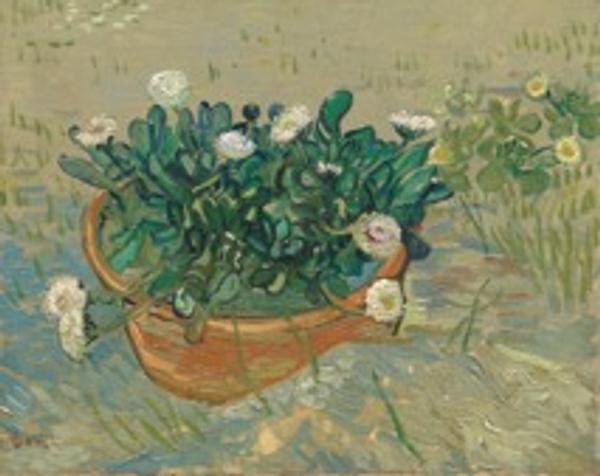 Collector/Patron: Mr.  and Mrs.  Paul Mellon Vincent Van Gogh (1853-1890) (Dutch, Active in France, 1853-1890) Daisies, Arles, 1988 Oil on Canvas