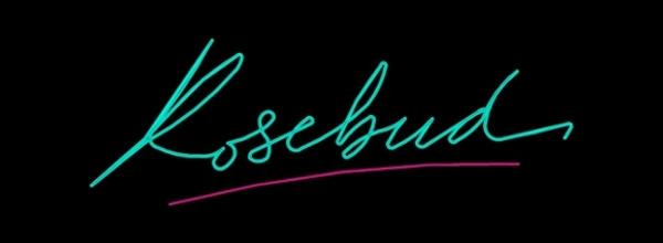 Announcing Rosebud: a new satellite gallery featuring works from the Rose Art Museum's collection of video art.