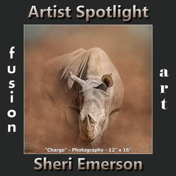 Sheri Emerson Wins Fusion Art's Artist Spotlight Solo Art Exhibition www.fusionartps.com