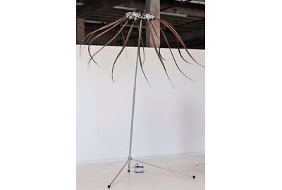 Alan Rath, "Absolutely," 2012.  Pheasant feathers, aluminum, fiberglass and custom electronics; 180 x 144 x 144 inches; San Jose Museum of Art.  GIft of the Lipman Family Foundation.  