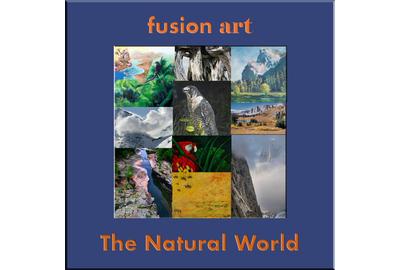 Fusion Art Announces the Winners of the "Natural World" International Art Exhibition.  www.fusionartps.com