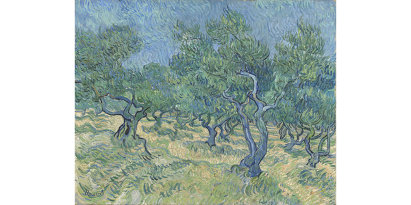 Vincent van Gogh, Olive Grove , July1889, oil on canvas, Kröller - Müller Museum, Otterlo, The Netherlands.  Photographer: Rik Klein Gotink