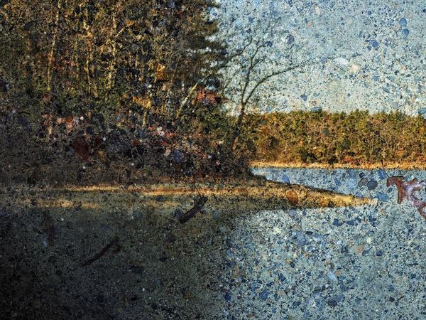 Walden: Pond/ Tent Camera Image, 2016 Abelardo Morell