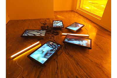 Diana Thater, "Untitled (Butterfly Videowall #2)," 2008.  Five flat-screen LCD monitors, two flourescent light fixtures, and Lee filters; Dimensions variable; Museum purchase with funds from the Acquisitions Committee and the Lipman Family Foundation.  