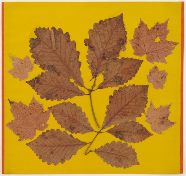 Leaf Study III, c.  1940 Leaves and colored paper 18 x 18 5/8 inches (45.7 x 47.3 cm) © 2017 The Josef and Anni Albers Foundation.  Courtesy David Zwirner, New York/London 