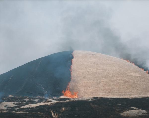 Rinko Kawauchi, Untitled, from the series Ametsuchi, 2012; collection SFMOMA, Foto Forum purchase; © Rinko Kawauchi