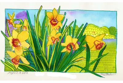 Fine Art Daily, daffodils