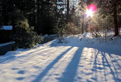 Sunrise in Idyllwild