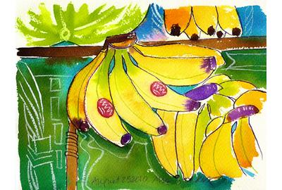 Fine Art Daily, odd bananas