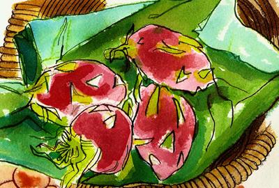 Fine Art Daily, odd fruit, Dragon Fruit