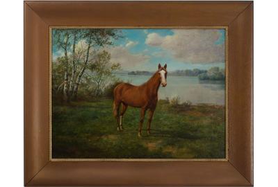 HORSE IN LANDSCAPE 