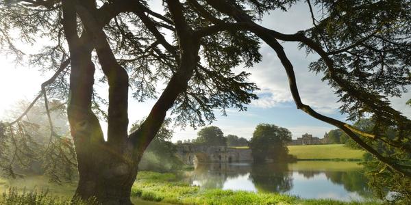 The Park and Gardens designed by Capability Brown will form the backdrop for Tino Seghal's outdoor exhibition at Blenheim this summer.  Image: Blenheim Palace